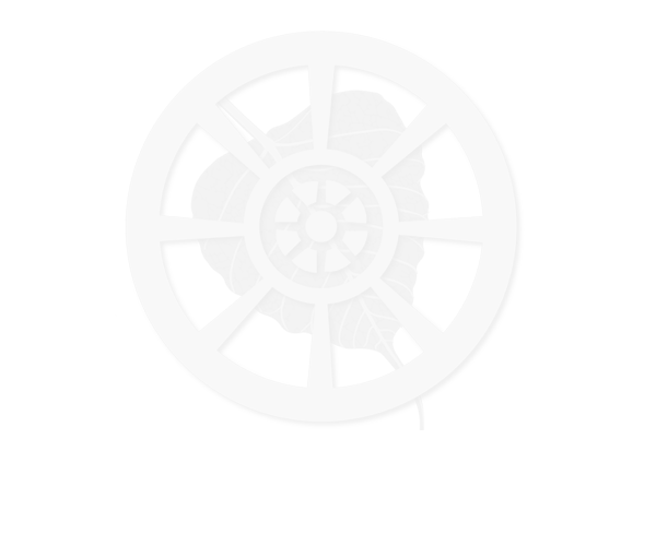 shape36